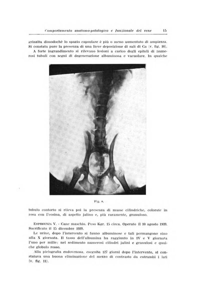 Archivio italiano di urologia