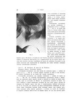 giornale/PUV0114683/1941/unico/00000042