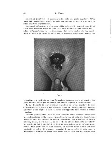 Archivio italiano di urologia