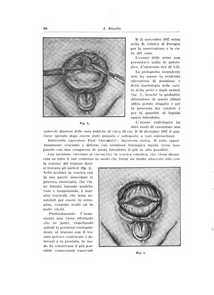 Archivio italiano di urologia