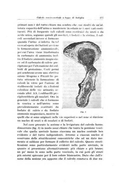 Archivio italiano di urologia