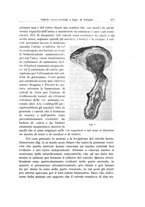 giornale/PUV0114683/1946/unico/00000055