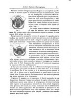 giornale/PUV0115303/1881-1884/unico/00000019