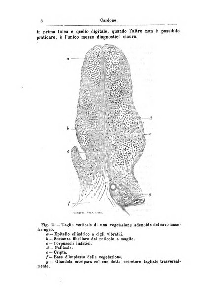 Archivii italiani di laringologia periodico trimestrale