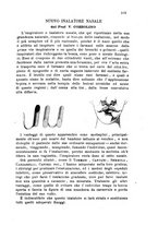 giornale/PUV0115303/1884-1886/unico/00000369
