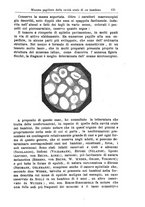 giornale/PUV0115303/1887-1889/unico/00000143