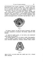giornale/PUV0115303/1890-1892/unico/00000501