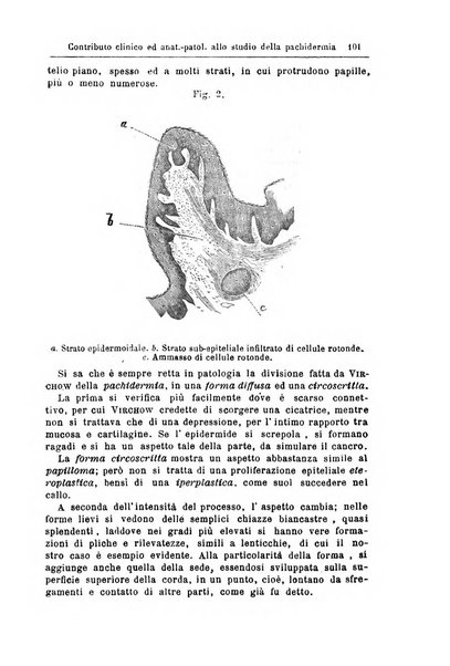 Archivii italiani di laringologia periodico trimestrale