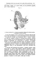 giornale/PUV0115303/1890-1892/unico/00000539