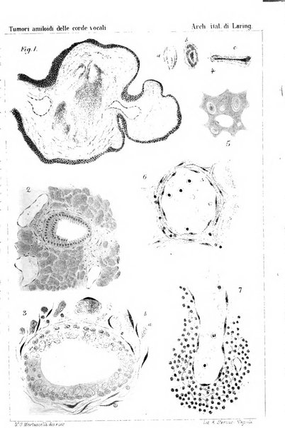 Archivii italiani di laringologia periodico trimestrale