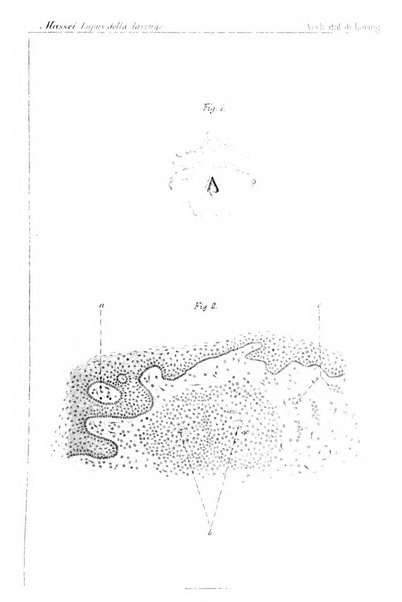 Archivii italiani di laringologia periodico trimestrale