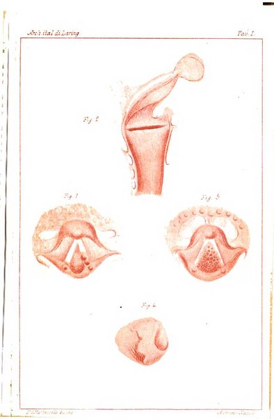 Archivii italiani di laringologia periodico trimestrale