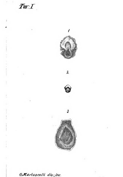 Archivii italiani di laringologia periodico trimestrale