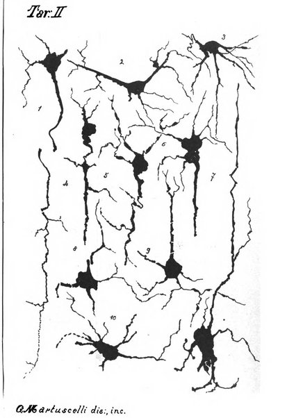 Archivii italiani di laringologia periodico trimestrale