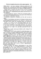 giornale/PUV0115303/1902-1904/unico/00000115