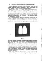 giornale/PUV0115303/1902-1904/unico/00000236
