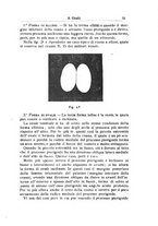 giornale/PUV0115303/1902-1904/unico/00000237