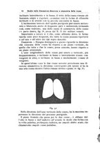 giornale/PUV0115303/1902-1904/unico/00000238