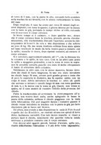 giornale/PUV0115303/1902-1904/unico/00000255