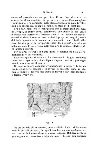 Archivii italiani di laringologia periodico trimestrale