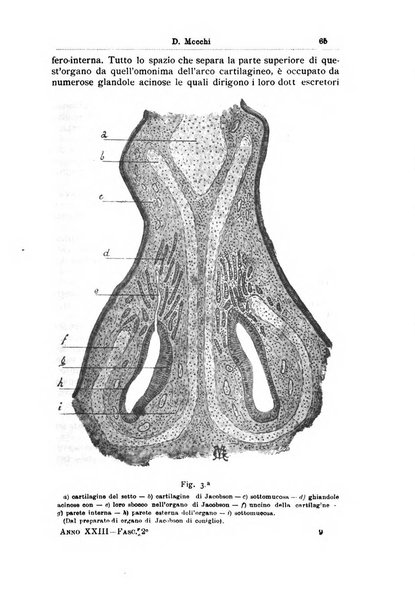 Archivii italiani di laringologia periodico trimestrale