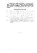 giornale/PUV0115303/1902-1904/unico/00000348