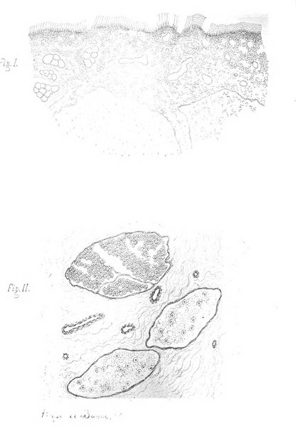 Archivii italiani di laringologia periodico trimestrale