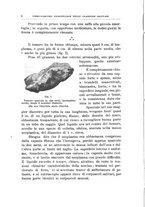 giornale/PUV0115303/1905-1906/unico/00000012