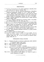 giornale/PUV0115303/1905-1906/unico/00000127