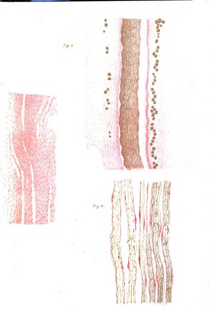 Archivii italiani di laringologia periodico trimestrale