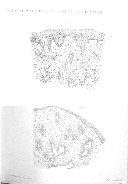 Archivii italiani di laringologia periodico trimestrale