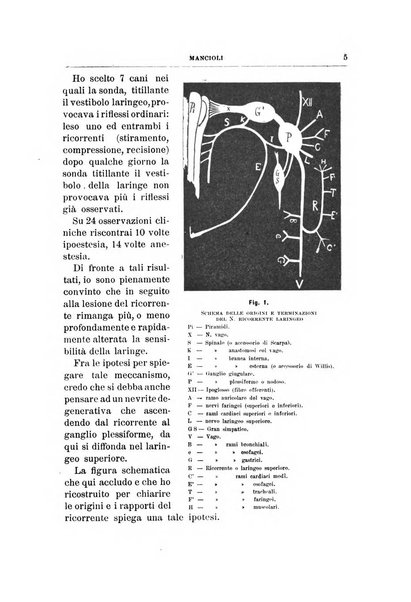 Archivii italiani di laringologia periodico trimestrale