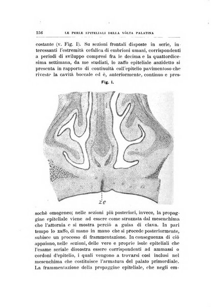 Archivii italiani di laringologia periodico trimestrale