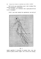 giornale/PUV0115303/1910/unico/00000030