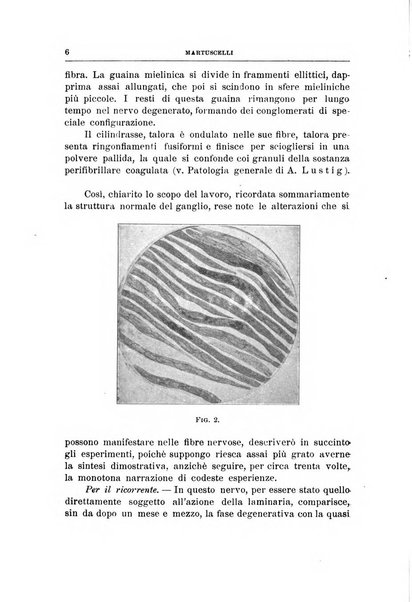 Archivii italiani di laringologia periodico trimestrale