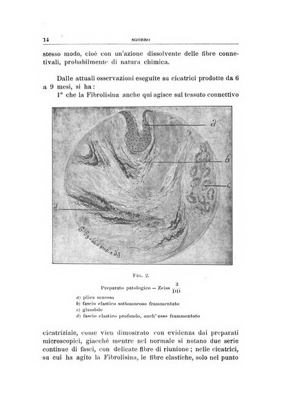 Archivii italiani di laringologia periodico trimestrale