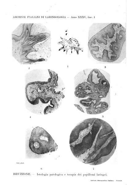 Archivii italiani di laringologia periodico trimestrale