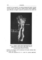 giornale/PUV0115303/1915/unico/00000198