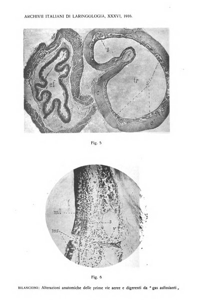 Archivii italiani di laringologia periodico trimestrale