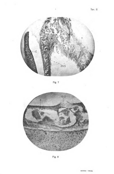 Archivii italiani di laringologia periodico trimestrale