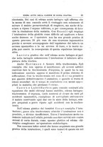 giornale/PUV0115303/1919-1920/unico/00000095