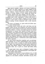 giornale/PUV0115303/1919-1920/unico/00000103