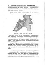 giornale/PUV0115303/1919-1920/unico/00000118