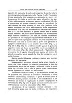 giornale/PUV0115303/1919-1920/unico/00000173
