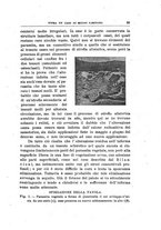 giornale/PUV0115303/1919-1920/unico/00000183