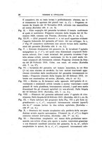 giornale/PUV0115303/1919-1920/unico/00000184