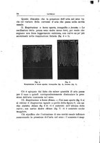 giornale/PUV0115303/1919-1920/unico/00000194
