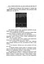 giornale/PUV0115303/1919-1920/unico/00000197