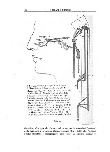 Archivii italiani di laringologia periodico trimestrale