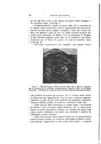 giornale/PUV0115303/1927/unico/00000024